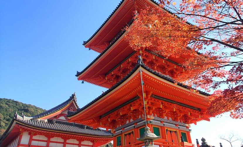 большой красный храм осенью