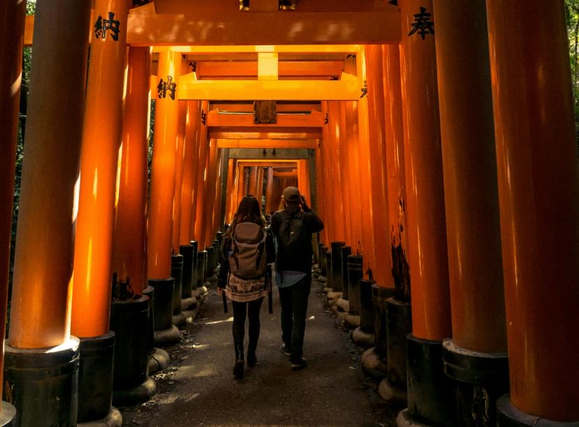 люди проходят через врата тории